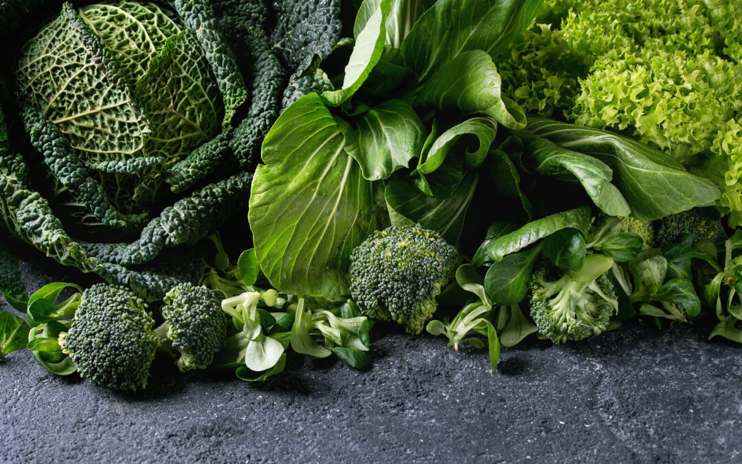 Foods That Promote Strong Teeth and Gums